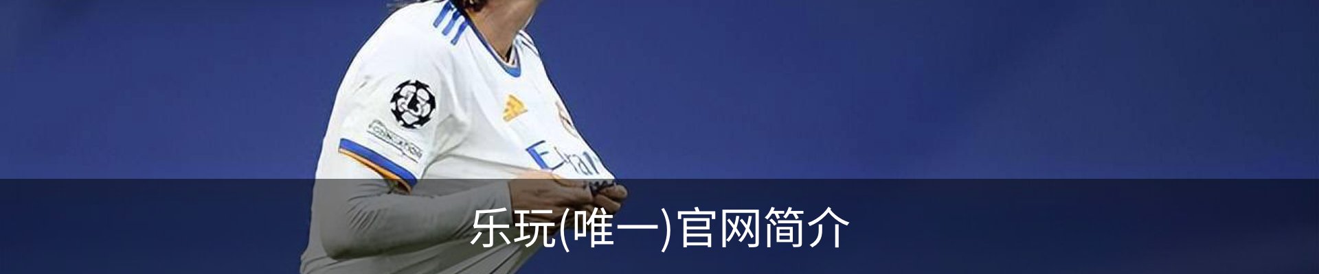 乐玩(唯一)官网简介